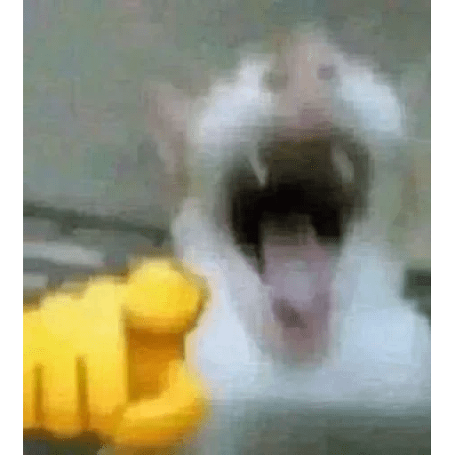 Gatus cats - Sticker