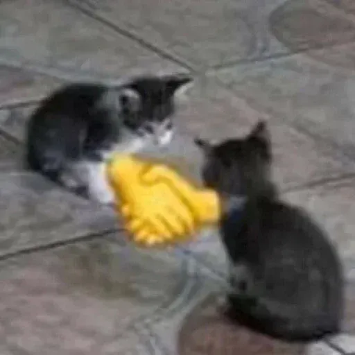 Gatus cats - Sticker