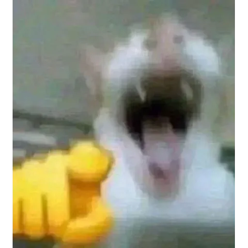 Gatus cats - Sticker