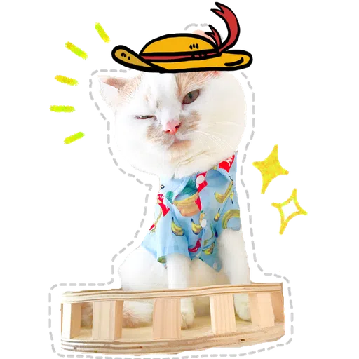 Cute cat- Sticker