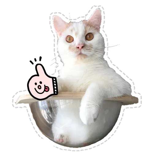 Cute cat - Sticker 5