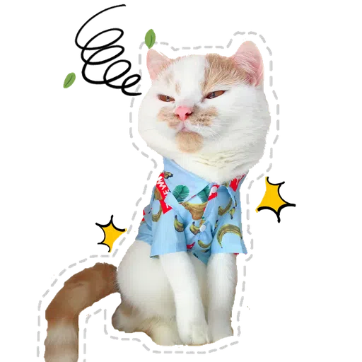 Cute cat - Sticker 7