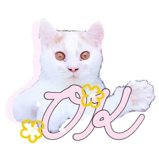 Cute cat - Sticker 1