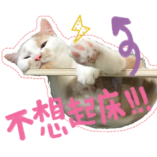 Cute cat - Sticker 6