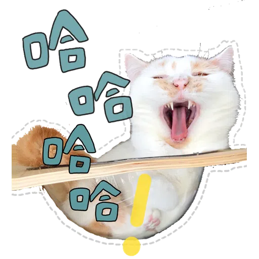 Cute cat - Sticker 2