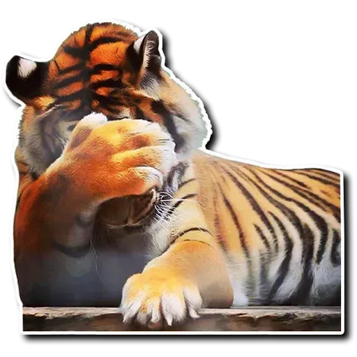 Tiger - Sticker 5