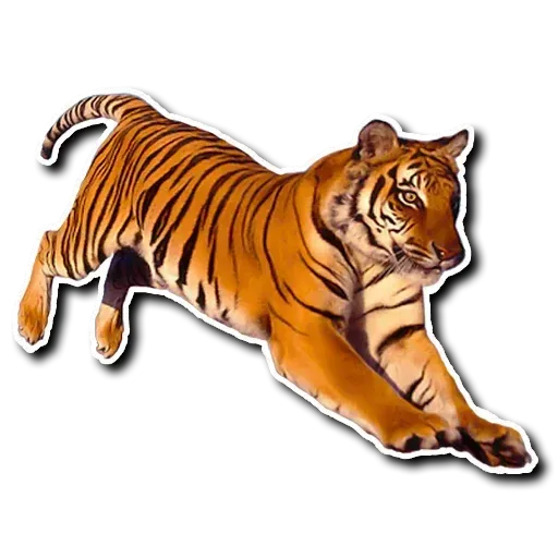 Tiger - Sticker 7