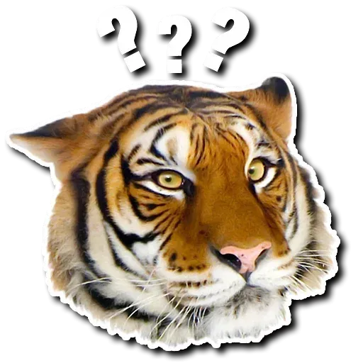 Tiger - Sticker 8