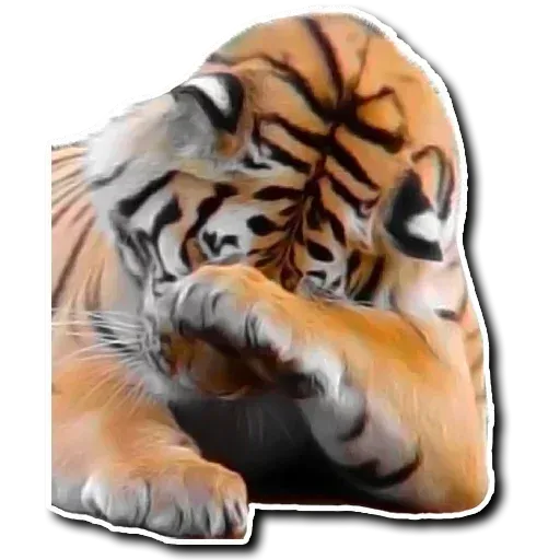 Tiger - Sticker 6