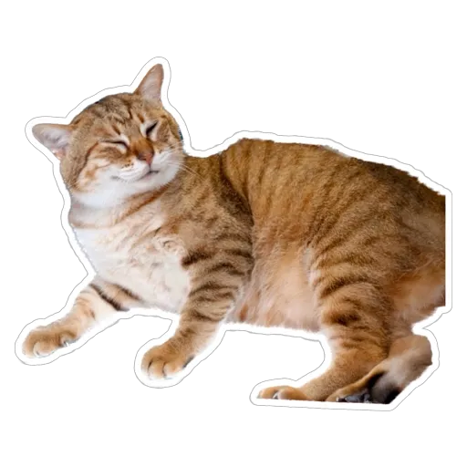 sgn_meow2 - Sticker 7