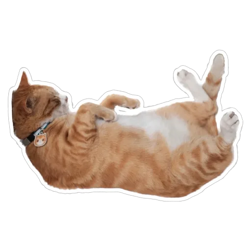 sgn_meow - Sticker 2
