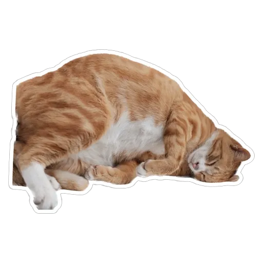 sgn_meow - Sticker 5